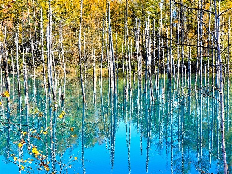 Colores del estanque azul de Hokkaido